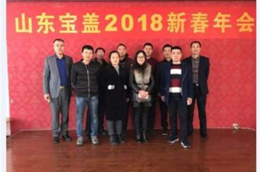 寶蓋2018年春節年會(huì )