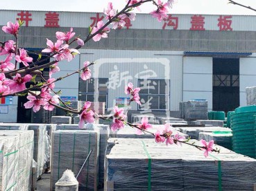 花滿(mǎn)枝頭，春意盎然